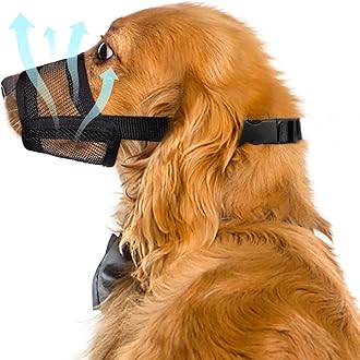 Dog Muzzle for Large Dogs – Breathable Air Mesh Muzzle for Large Sized Dog